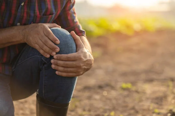Injuries or Illnesses, that can happen to farmers while working. Man is using his hand to cover over knee because of hurt, pain or feeling ill. Health of agriculturist concept.
